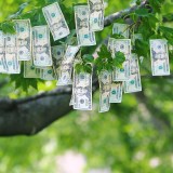Property, Casualty and Specialty Captive Management